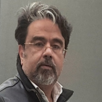 Alaa  El-Erian 