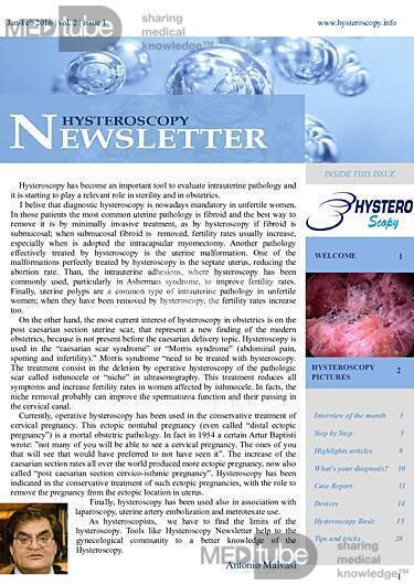 Hysteroskopie-Newsletter 2.1