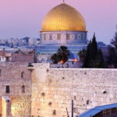  11th AAGL International Congress on Minimally Invasive Gynecological Surgery