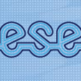 17th Biennial ESE Congress