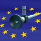 24th Annual Congress of the European Society for Gynaecological Endoscopy