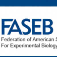 FASEB 3rd International Conference on Retinoids