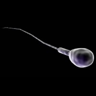 Reproductive Health Summit 2016