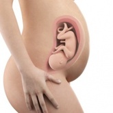 Pregnancy and Childbirth 2016
