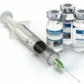 Vaccine Antigen Delivery: new approaches to vaccine development