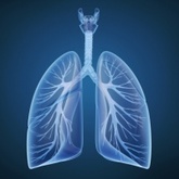 Understanding and Treating Respiratory Disease: A persistent challenge