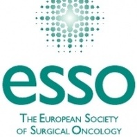 ESSO Course on the Management of High Risk Patients for Breast Cancer