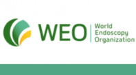WEO Colorectal Cancer Screening Committee Meeting 2017 – Americas