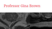 Rectal MRI Two Day Intensive Workshop with Hands On Workstation Practice