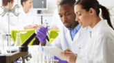 Diversity in Clinical Trials