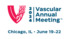 Vascular Annual Meeting 2024 (VAM24)