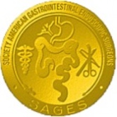 SAGES 2013 Surgical Spring Week: Innovating the Present for the Future