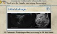 Endoskopische Nekrosektomie bei nekrotisierender Pankreatitis – ist das ausreichend?