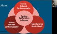 Kardiale Dysfunktion bei Sepsis