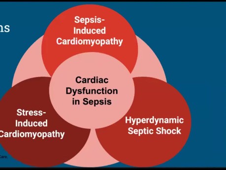 Kardiale Dysfunktion bei Sepsis