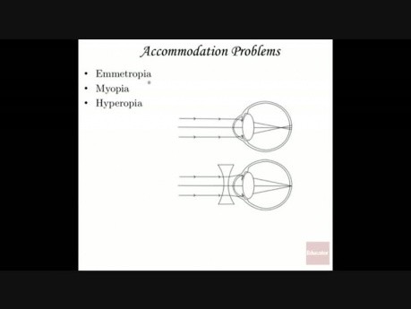 Anatomie und Physiologie des Sehens