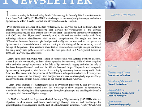 Hysteroskopie-Newsletter 2.5