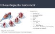 Geschenk des Lebens – Organspende in Kanada und echokardiographische Beurteilung von Spenderherzen