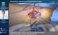 Gefäßchirurgische und endovaskuläre Fertigkeiten und Techniken
