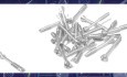 Entwicklung bioresorbierbarer massiver Metallschrauben zur Fixation von Kondylusfrakturen des Unterkiefers