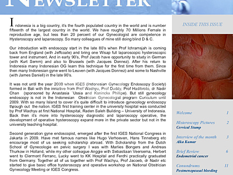 Hysteroskopie: Newsletter 3.1