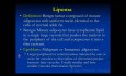 Orthopädische Onkologie und Pathologie Kurs - Benigne Weichteiltumoren (Lipome usw.) - Vortrag 9