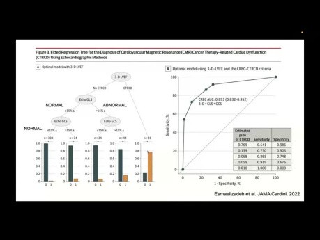 Cardio-Oncologie und Echokardiographie