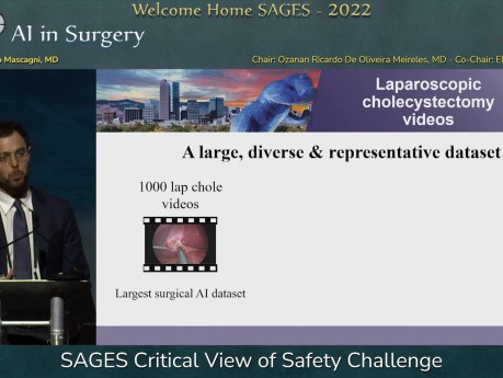SAGES Kritische Sichtweise auf die Herausforderungen in der Sicherheit (AI in surgery)
