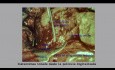 Abdominalgravidität
