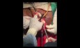 Lefortes Operation