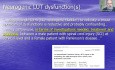 Identifikation und Behandlung des Hochrisiko-neurogenen Blasenleidens